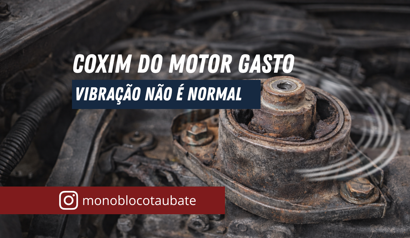 Coxim do motor